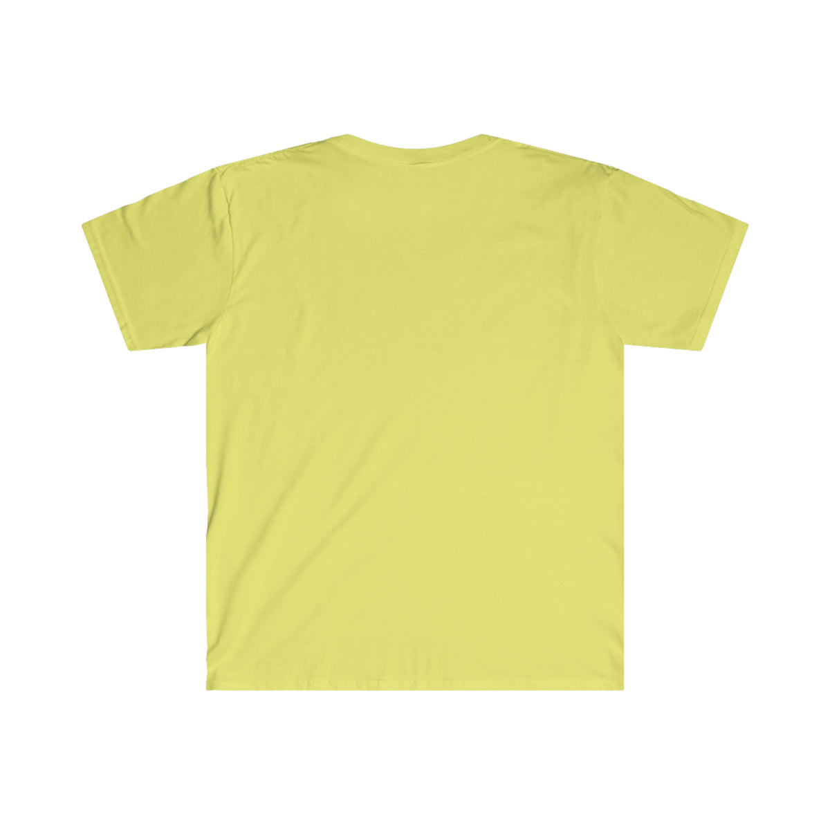 softstyle t-shirt for women